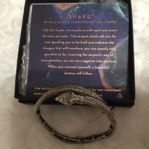 Alex and Ani